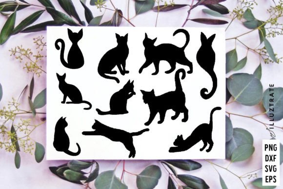 Cat Silhouette SVG Cut File Review