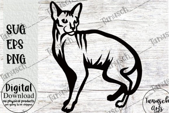 Sphynx Cat SVG Naked Cat Cut File Cricut Review